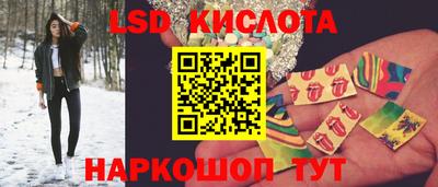 прущие крисы Гай