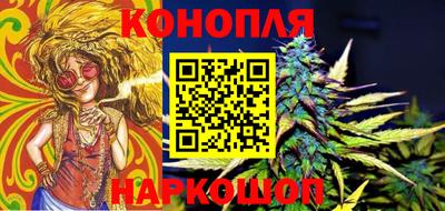 прущие крисы Гай