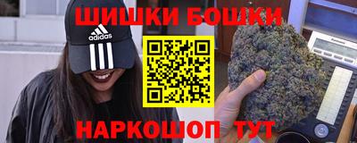 прущие крисы Гай