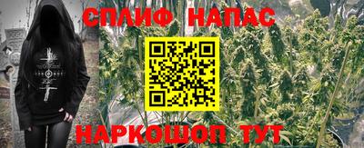прущие крисы Гай