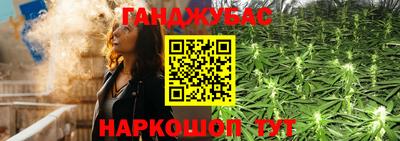 прущие крисы Гай